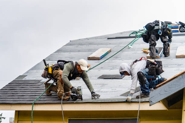 Professional Storm Damage Roof Repair technician working in Hedrick, IA